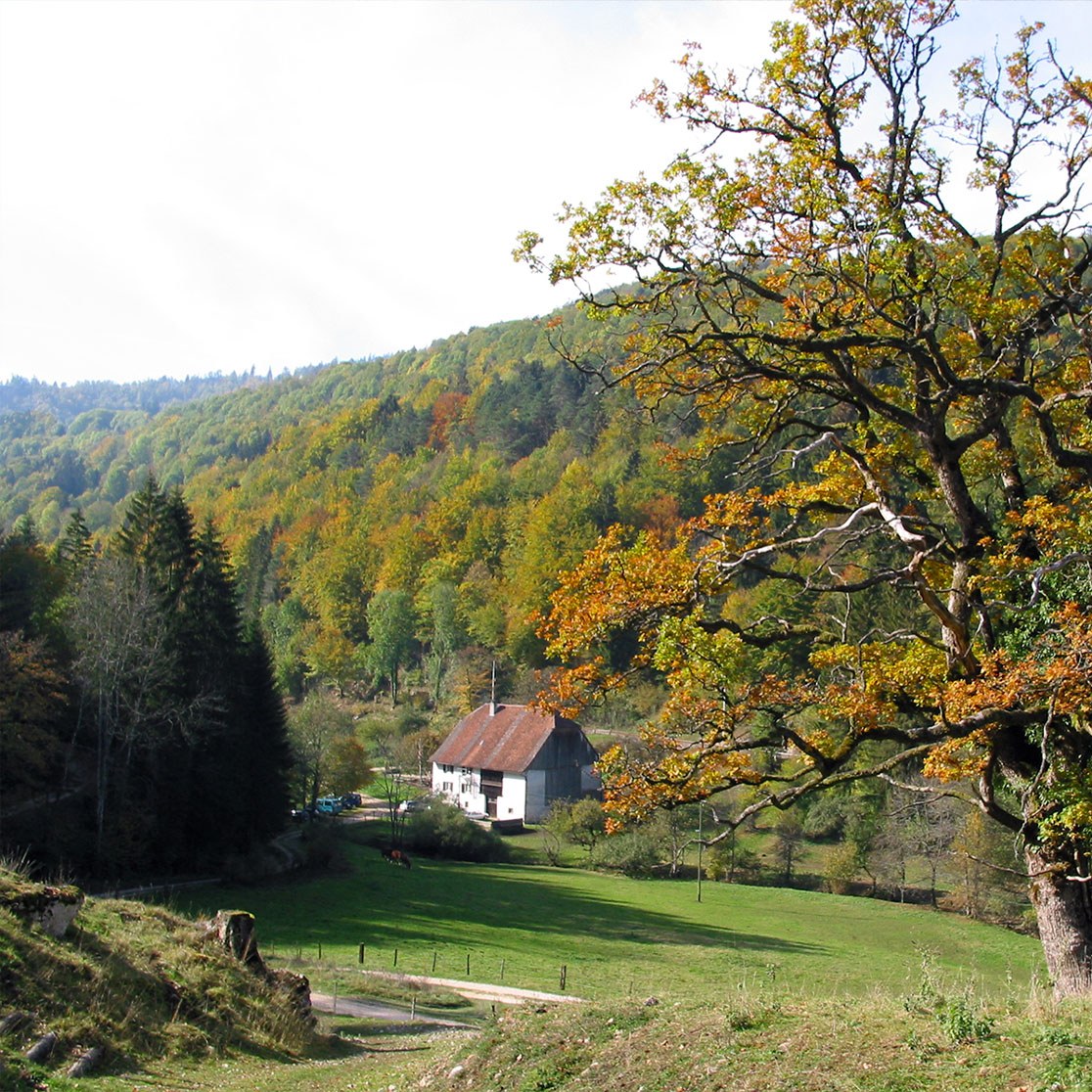 Vue de la combe