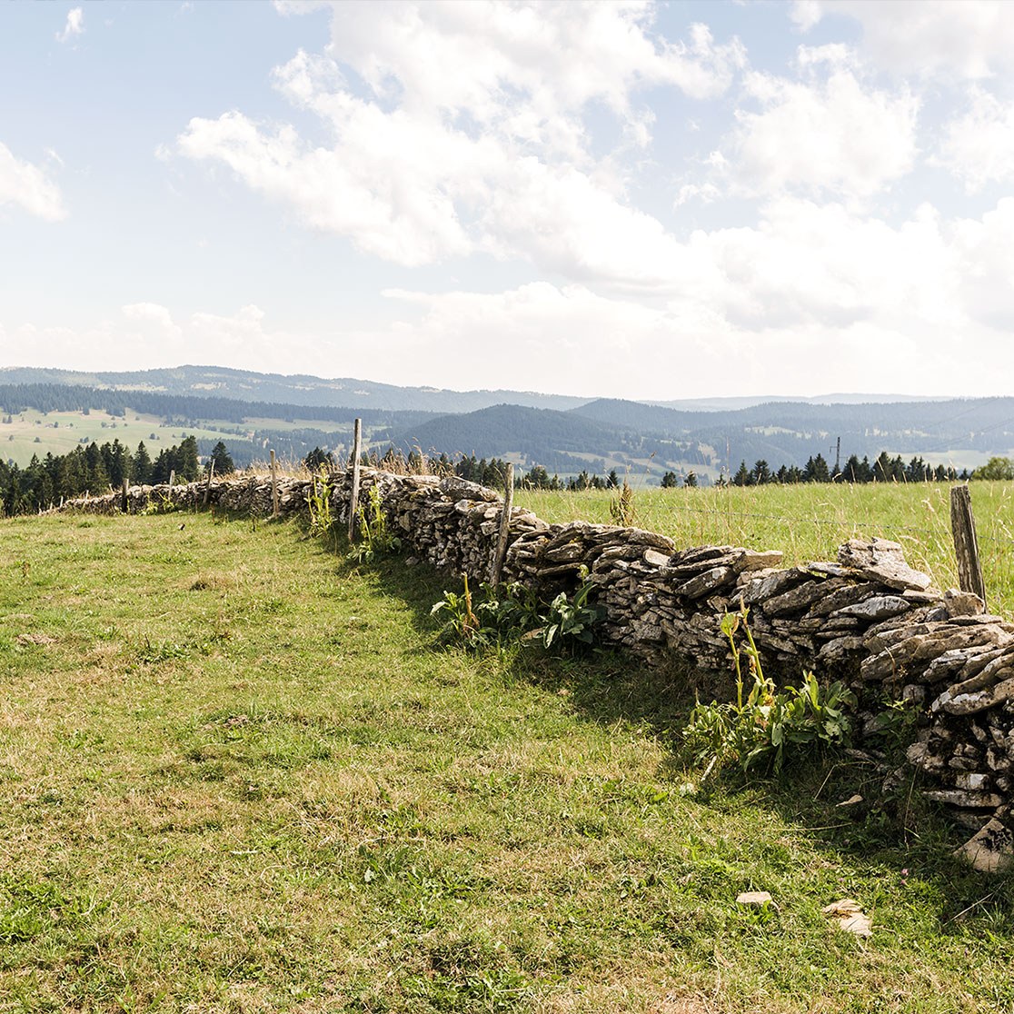 Mur de pierres